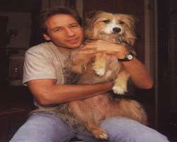 The actor is an animal lover and has reared three dogs and four cats whom he loves as a child.